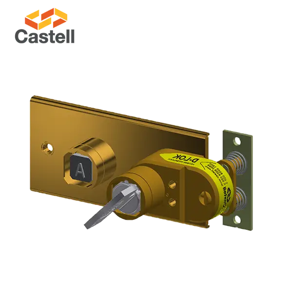 BD - Multi Key Panel Door Interlock by Castell