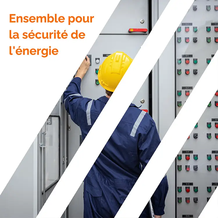Sp&eacute;cialiste de la maintenance dans le secteur de l'&eacute;nergie assurant la fiabilit&eacute; op&eacute;rationnelle