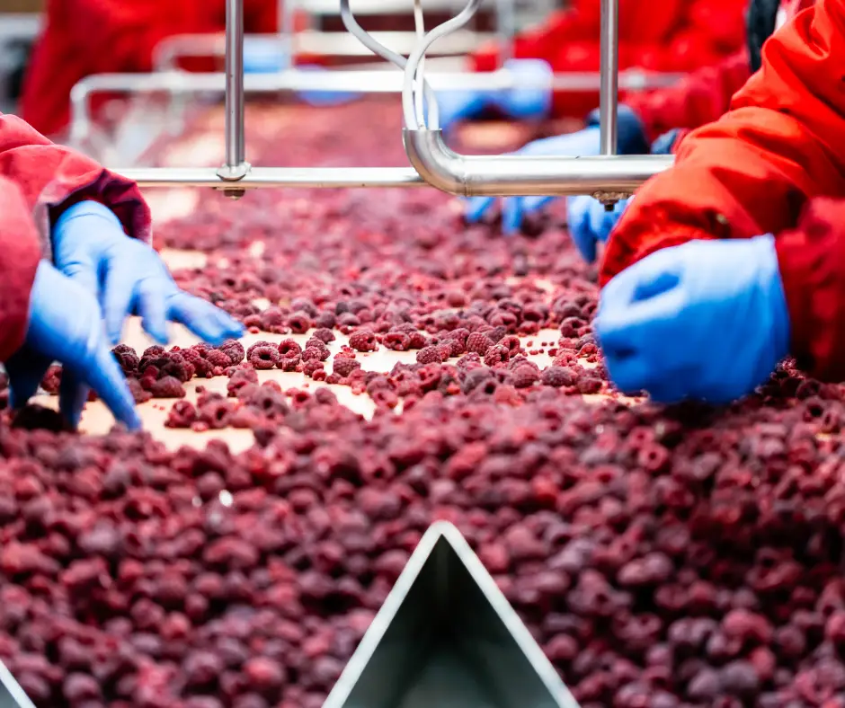 Usine agroalimentaire effectue un contr&ocirc;le de qualit&eacute;