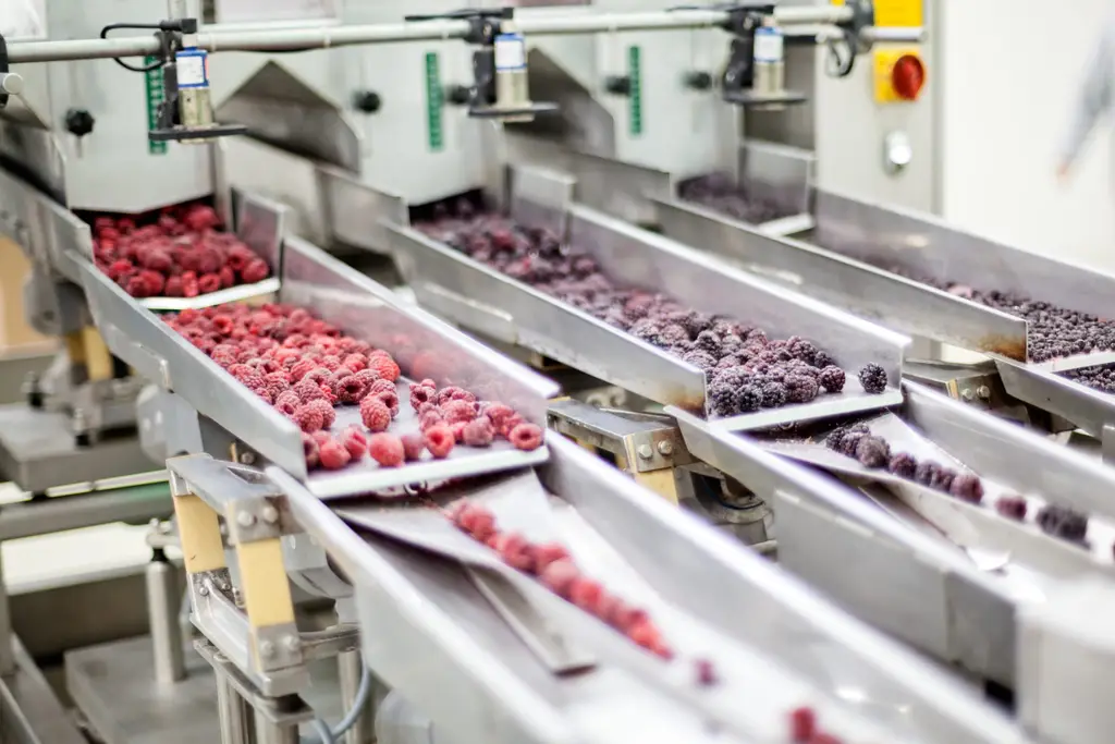 frozen raspberry processing business