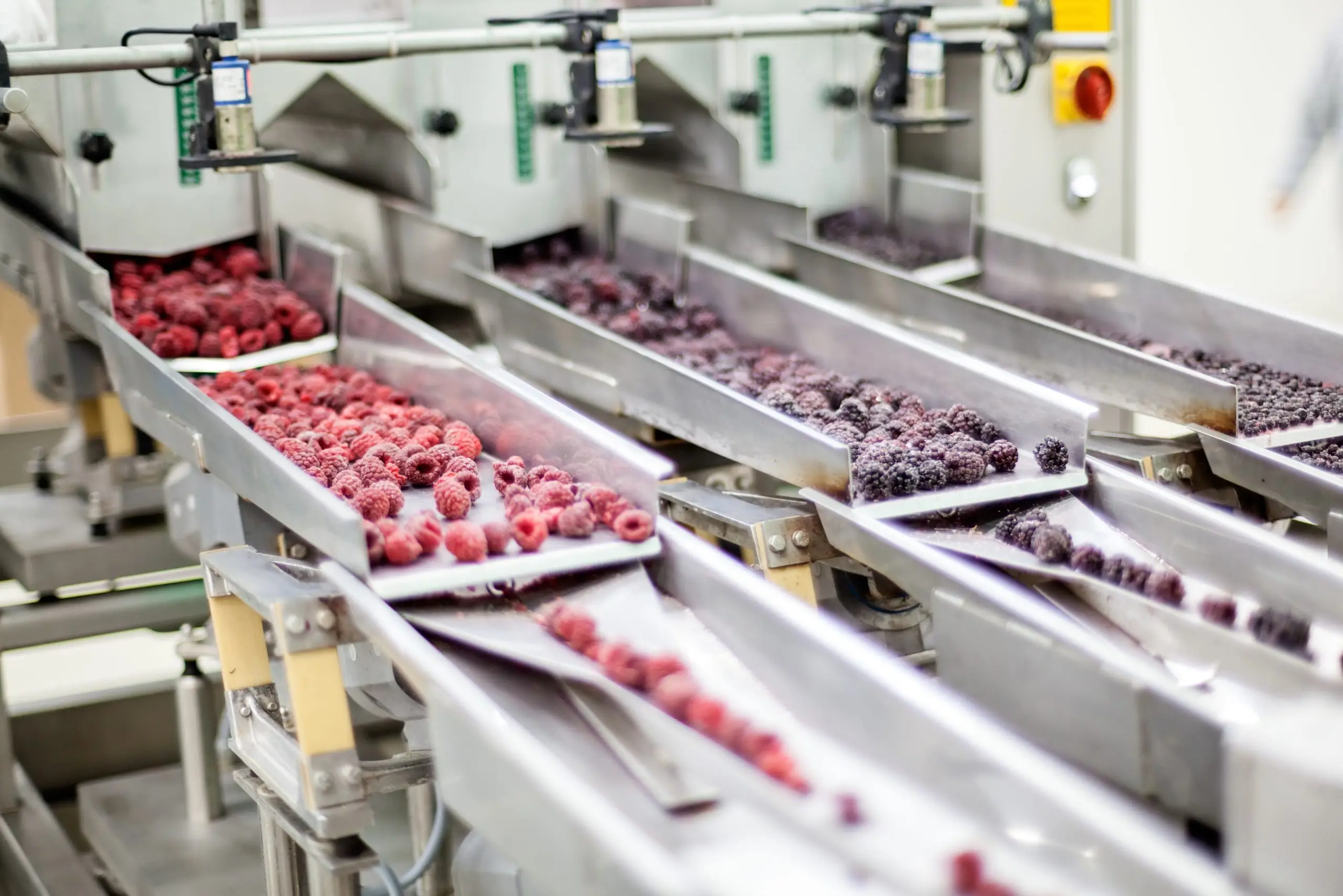 Frozen fruits being processed in a factory production line