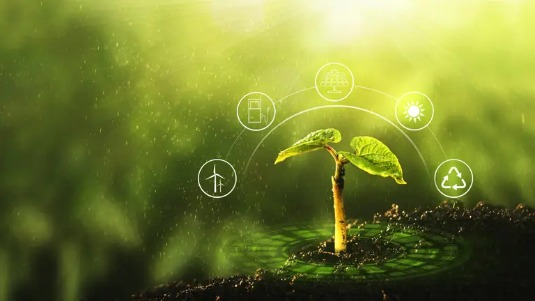 Jeune pousse verte entourée d'icônes solaire, éolien, carburant durable et recyclage, symbolisant le développement durable